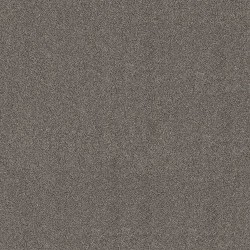 Iron Gate color swatch