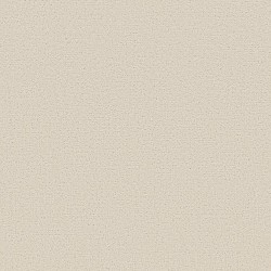 Champagne Toast color swatch
