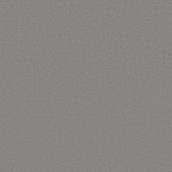 Dolphin Sighting color swatch