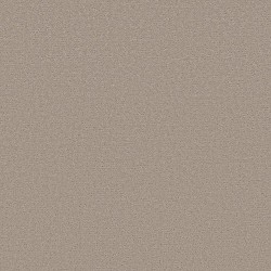 Back Patio color swatch