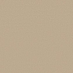 Dinner With Friends color swatch