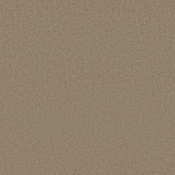 Camping Trip color swatch