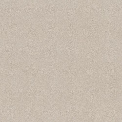 Champagne Toast color swatch