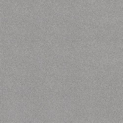 Polished Silver color swatch