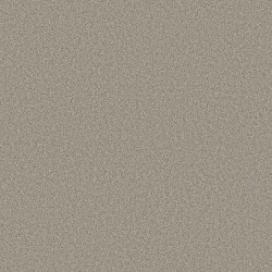 Back Patio color swatch