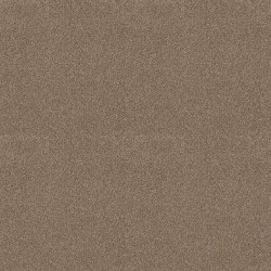 Camping Trip color swatch