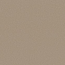 Walk On The Beach color swatch