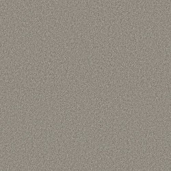 Back Patio color swatch