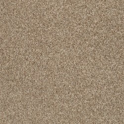 Camping Trip color swatch