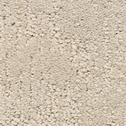 Plaster