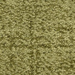 Bermuda Grass