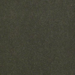 Town Hall 30 - Palm Breeze