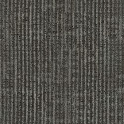 Neural Network