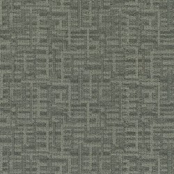 Domain