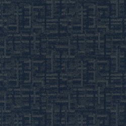 Image Overlay