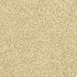 Dawn's Delight - Butterscotch