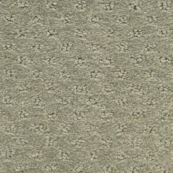 Bayleaf