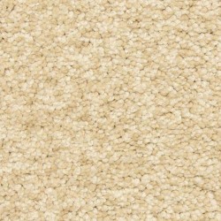 Bermuda Sand