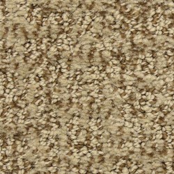 Sandbark