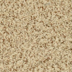 Pebble Mosaic