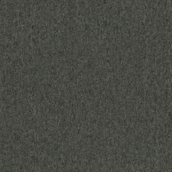 Unite 20 Broadloom - Charcoal