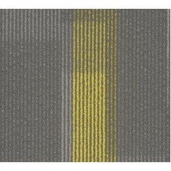 Amplify Plank - 3174