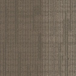 Element Plank - Aurora
