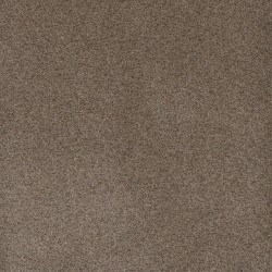 Shellbark