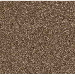 Black Walnut
