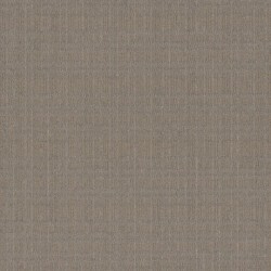 Sahara