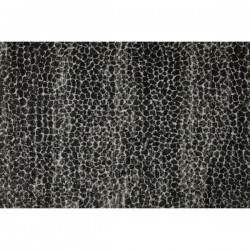Graphite