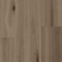 Umber color swatch