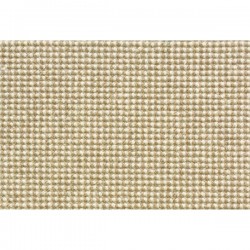 Buckwheat