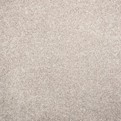Pebble