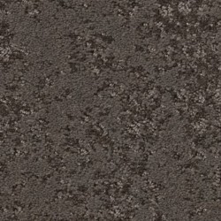 Burma Brown