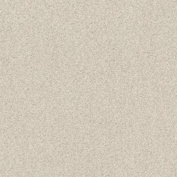 Delicate Cream color swatch