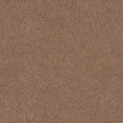 Sunbaked color swatch