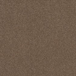 Raw Wood color swatch