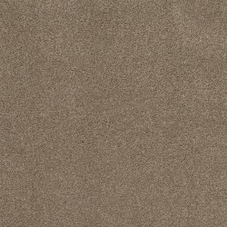 Tumbleweed color swatch