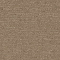 Raw Wood color swatch