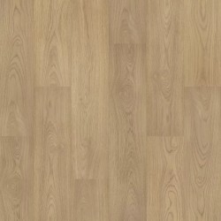 Stallion Hickory
