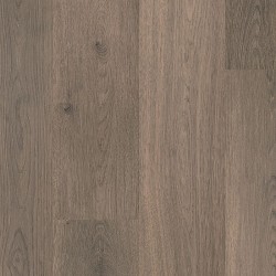 Cloudy Oak