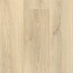 Golden Sand Oak