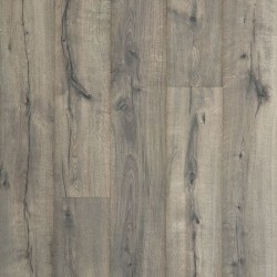Lunar Oak