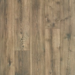 Gilded Oak