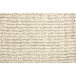 Coconut color swatch