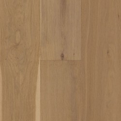 Santa Cruz color swatch