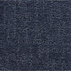 Blue Ribbon