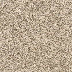 Pebble