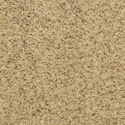 Oatmeal Raisin
